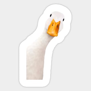 Goose Sticker